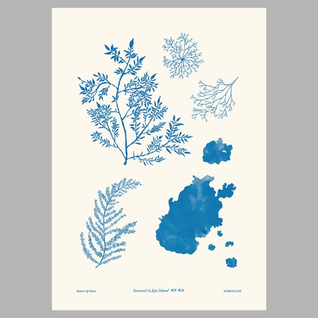 해초 - 식물그림 포스터