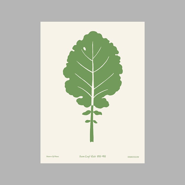쌈잎 Plants Post Card